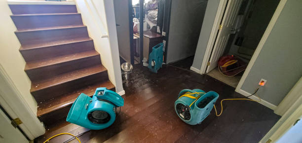 Best Professional water damage repair  in Shelbyville, TN