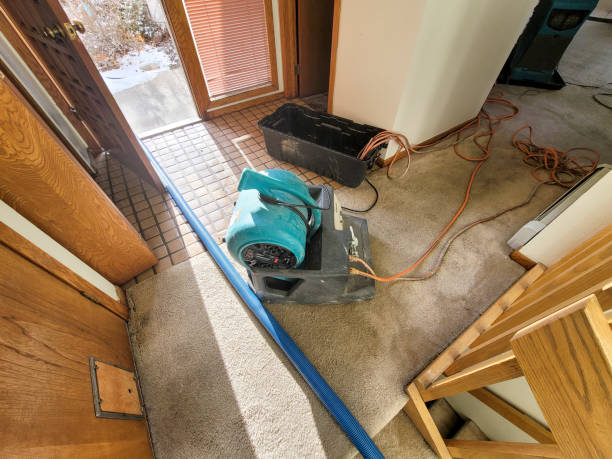 Best Flood damage cleanup  in Shelbyville, TN