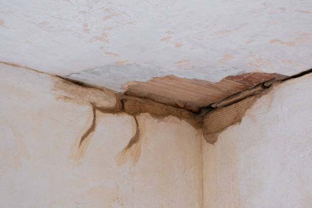Best Water damage cleanup near me  in Shelbyville, TN