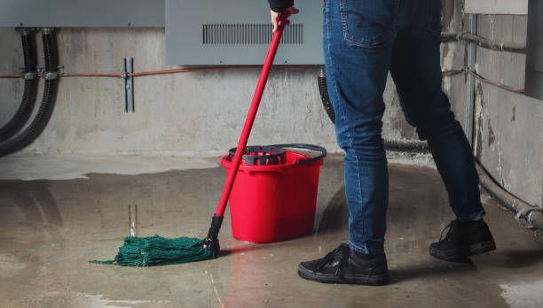 Best Basement water damage restoration  in Shelbyville, TN