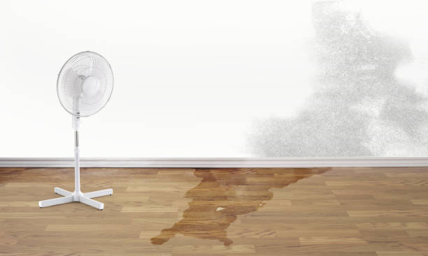 Best Water damage restoration near me  in Shelbyville, TN