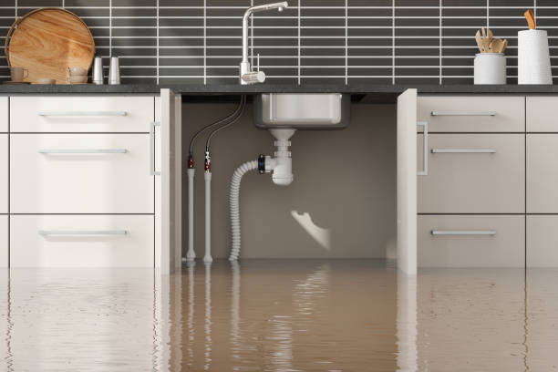 Best Basement water damage restoration  in Shelbyville, TN
