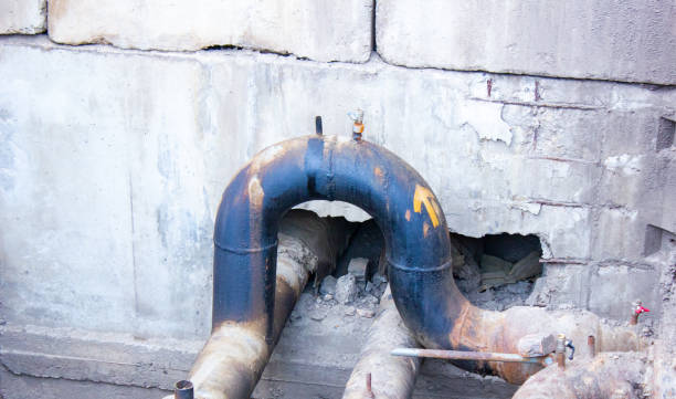 Best Mold removal after water damage  in Shelbyville, TN